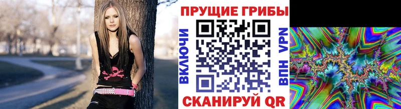 Галлюциногенные грибы ЛСД  закладки  Белёв 